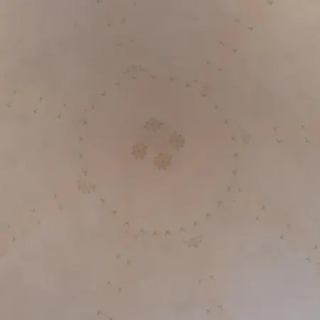 Daire Pietra D'angolo