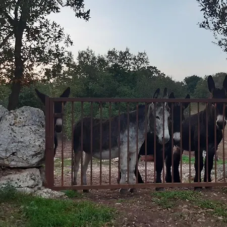 Pietra D'angolo Daire Locorotondo