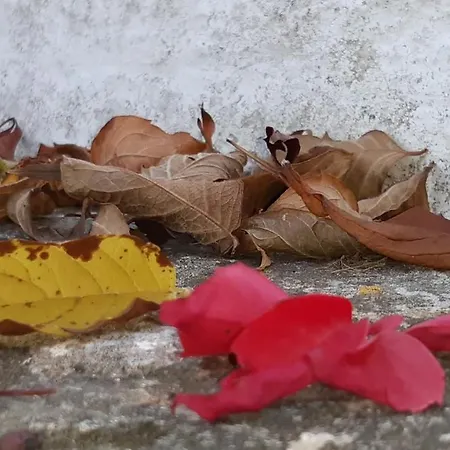 Pietra D'angolo Daire Locorotondo