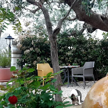 Pietra D'angolo Daire *